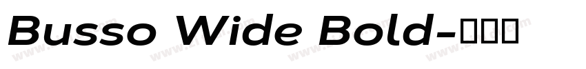 Busso Wide Bold字体转换